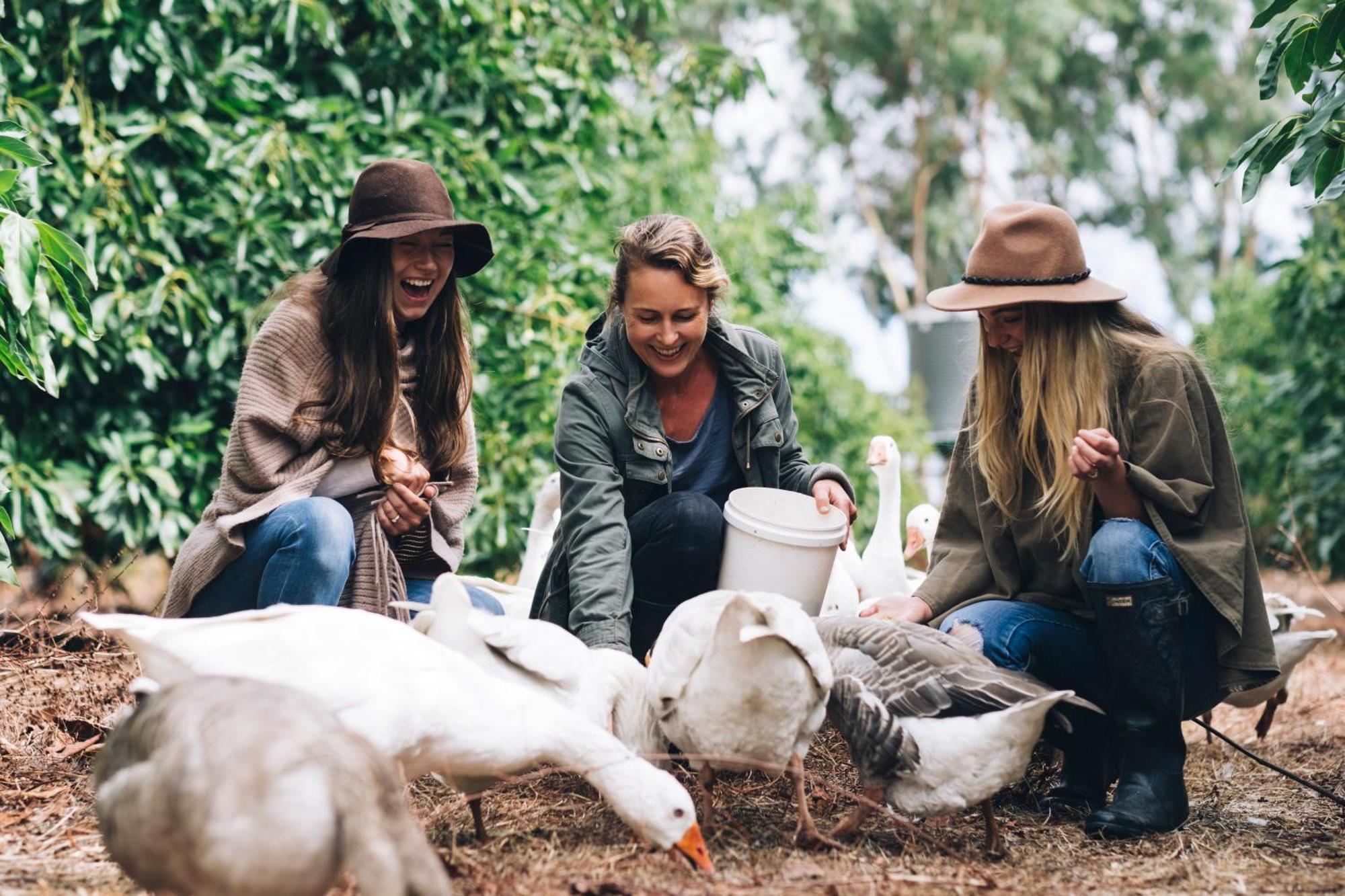 Burnside Organic Farm Βίλα Margaret River Εξωτερικό φωτογραφία