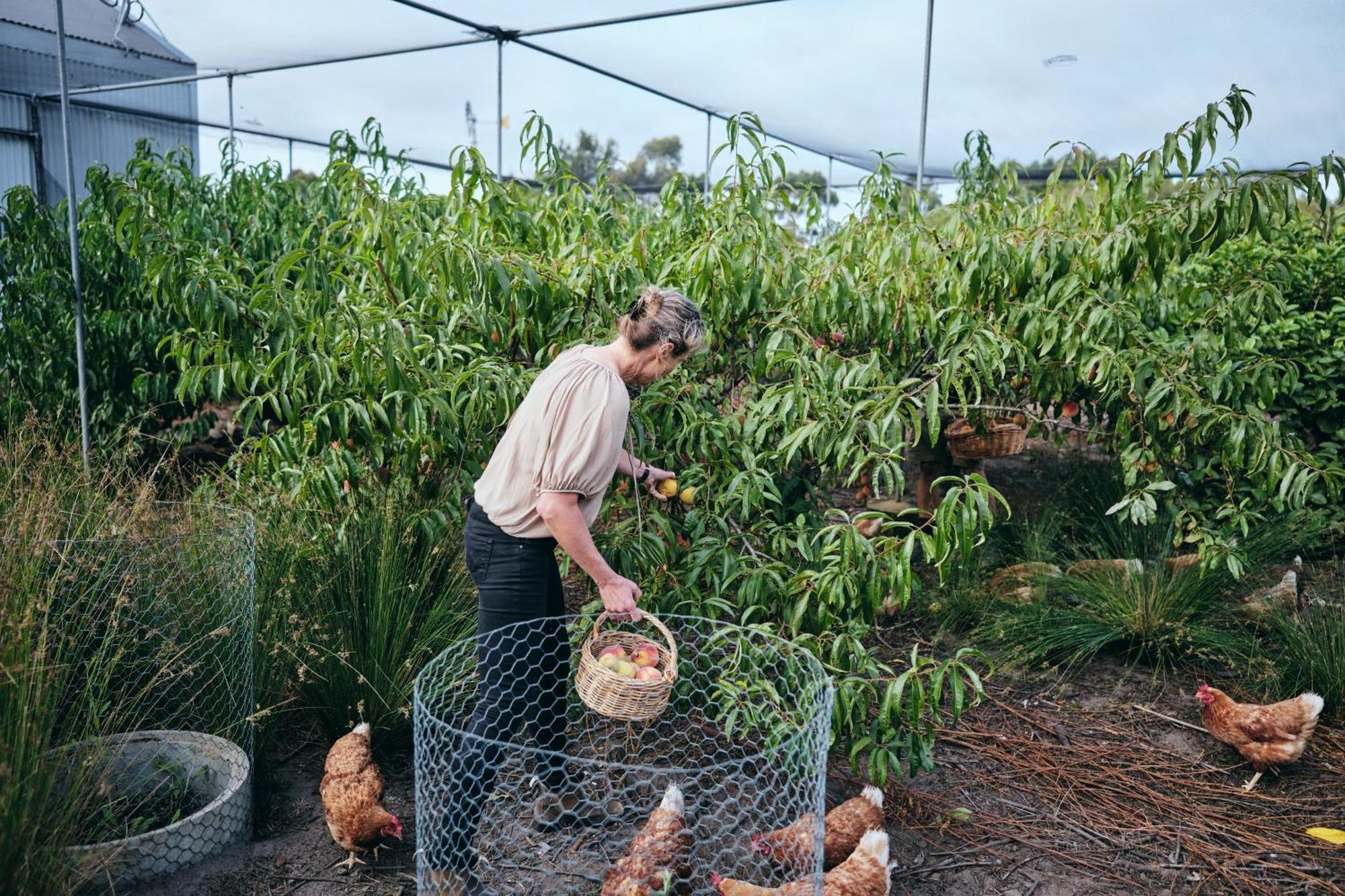 Burnside Organic Farm Βίλα Margaret River Εξωτερικό φωτογραφία