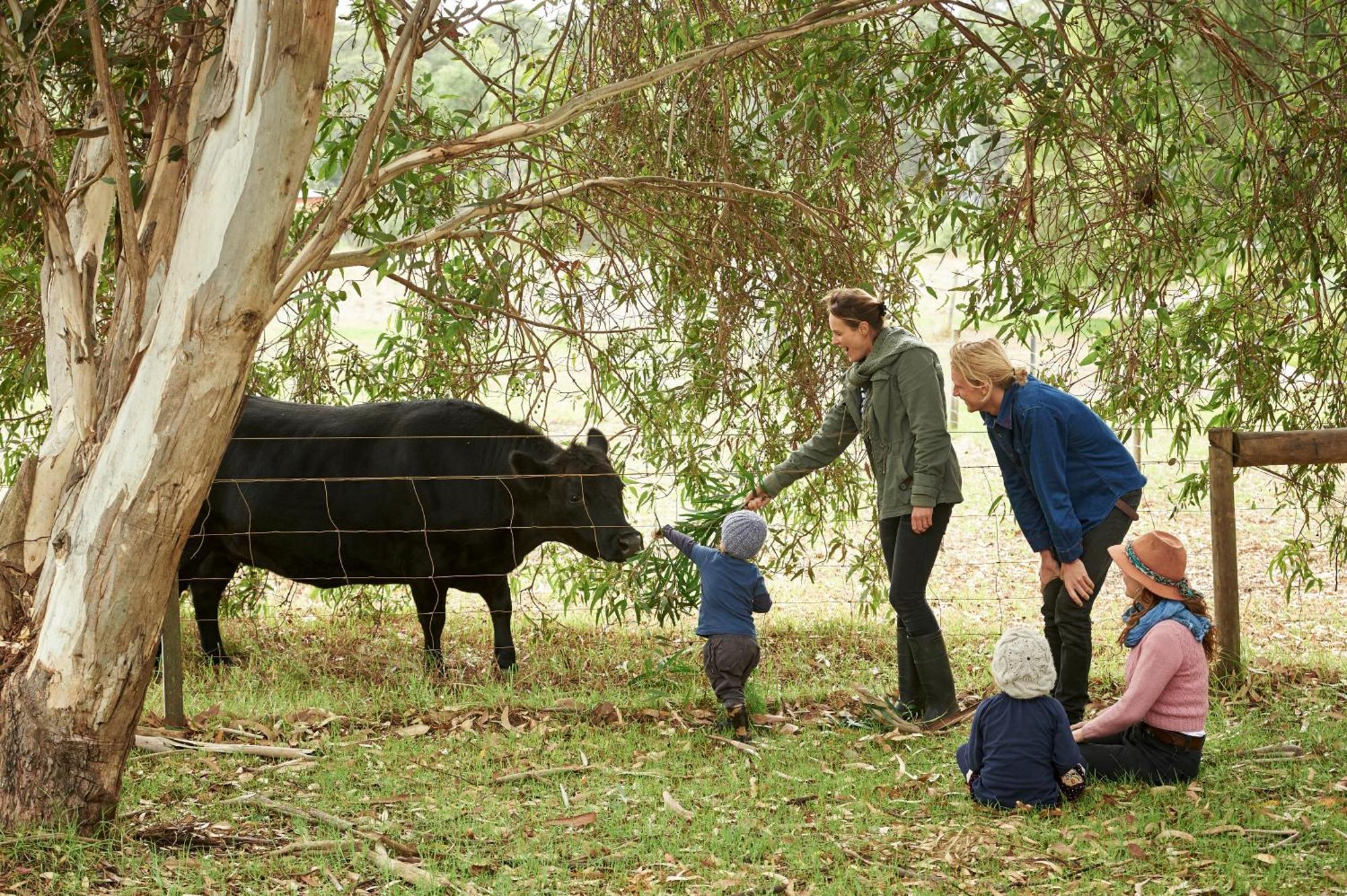 Burnside Organic Farm Βίλα Margaret River Εξωτερικό φωτογραφία