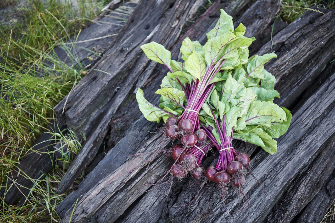 Burnside Organic Farm Βίλα Margaret River Εξωτερικό φωτογραφία
